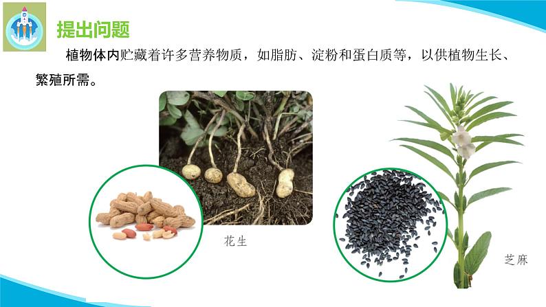 粤教版科学三年级下册科学17脂肪贮藏在哪里PPT课件修改版第3页