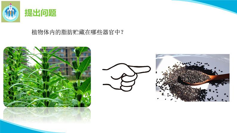 粤教版科学三年级下册科学17脂肪贮藏在哪里PPT课件修改版第5页