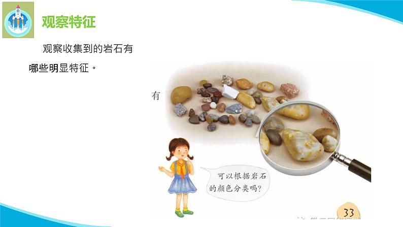 粤教粤科版科学四年级上册探究技能分类课件PPT第4页
