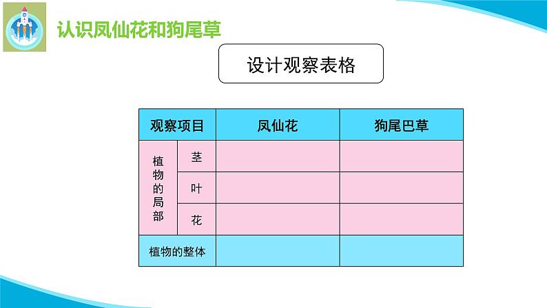 粤教版科学四年级下册3凤仙花与狗尾草PPT课件新版08