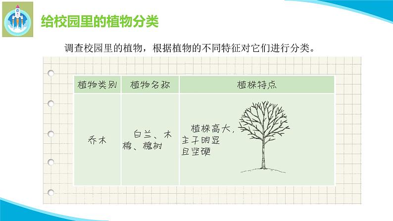 粤教版科学四年级下册6校园里的植物PPT课件新版第8页