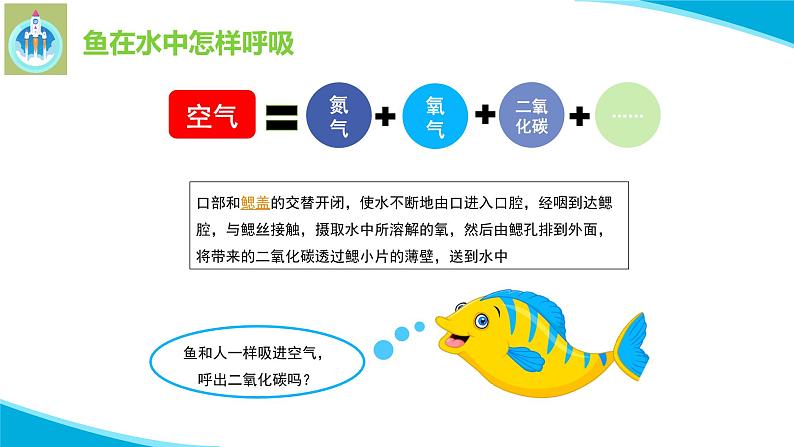 粤教版科学四年级下册8动物需要空气PPT课件新版07