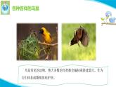 粤教版科学四年级下册12动物的巢穴PPT课件新版