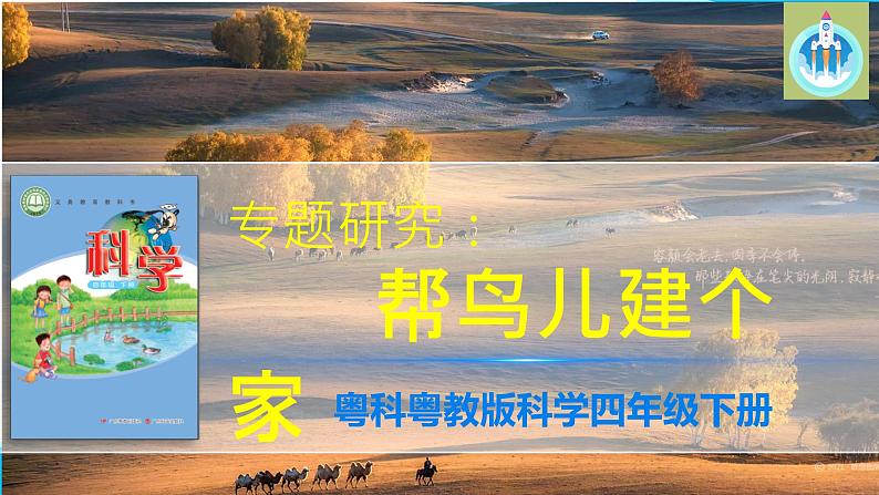 粤教版科学四年级下册13专题研究帮鸟儿建个家PPT课件新版第1页