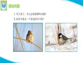 粵教版科學(xué)四年級下冊13專題研究幫鳥兒建個家PPT課件新版