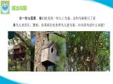 粵教版科學(xué)四年級下冊13專題研究幫鳥兒建個家PPT課件新版