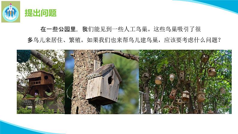 粤教版科学四年级下册13专题研究帮鸟儿建个家PPT课件新版第4页
