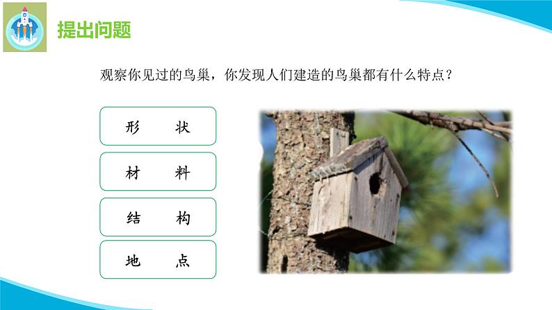 粤教版科学四年级下册13专题研究帮鸟儿建个家PPT课件新版第5页