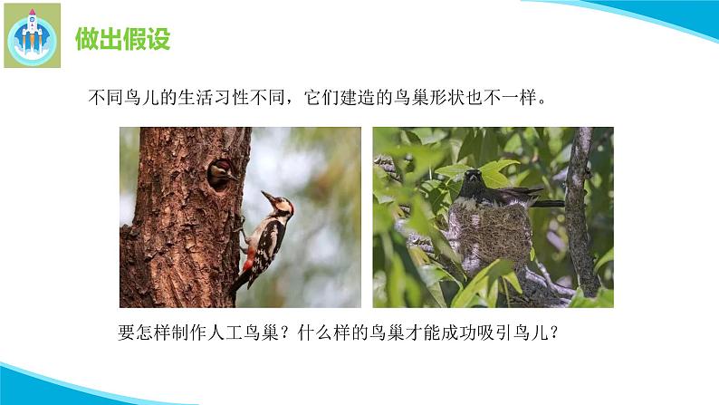 粤教版科学四年级下册13专题研究帮鸟儿建个家PPT课件新版第6页