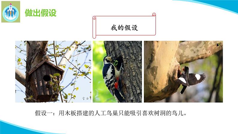 粤教版科学四年级下册13专题研究帮鸟儿建个家PPT课件新版第8页
