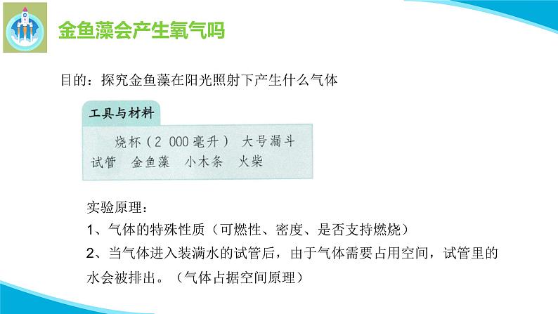 粤科粤教版科学五年级上册课件7植物能够利用阳光04