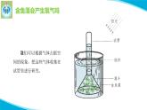 粤科粤教版科学五年级上册课件7植物能够利用阳光