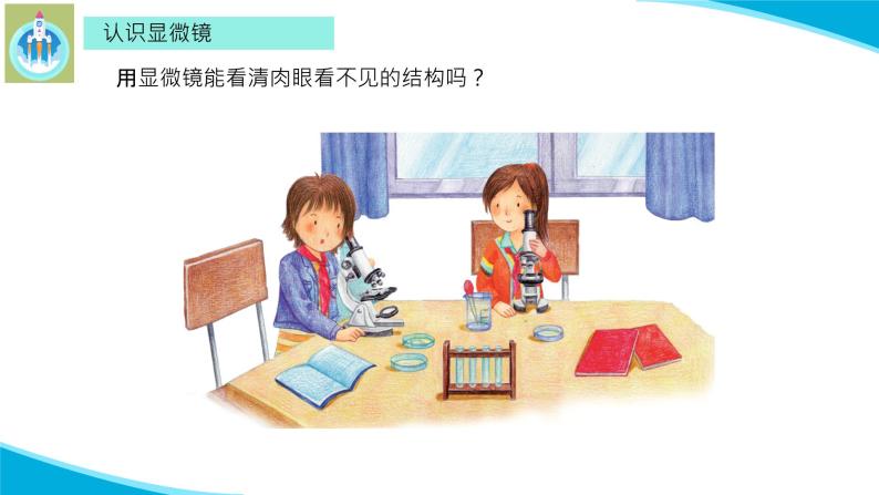 (2022)粤教版科学五年级下册8科学观察的工具显微镜PPT课件新版02