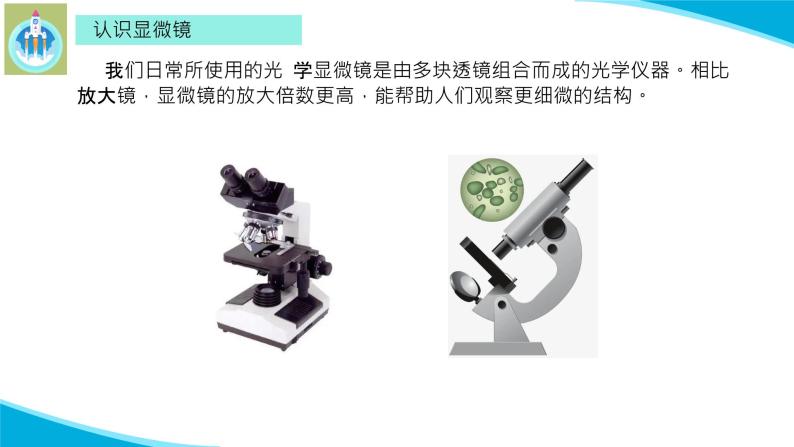 (2022)粤教版科学五年级下册8科学观察的工具显微镜PPT课件新版03