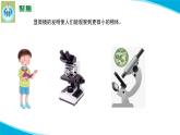 (2022)粤教版科学五年级下册9用显微镜来观察PPT课件新版