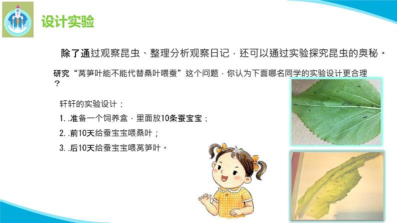 苏教版科学四年级下册11探究昆虫的秘密PPT课件03