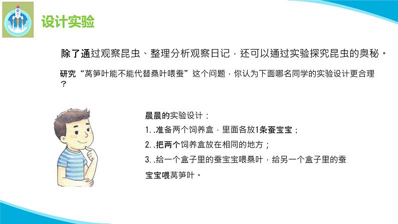 苏教版科学四年级下册11探究昆虫的秘密PPT课件04