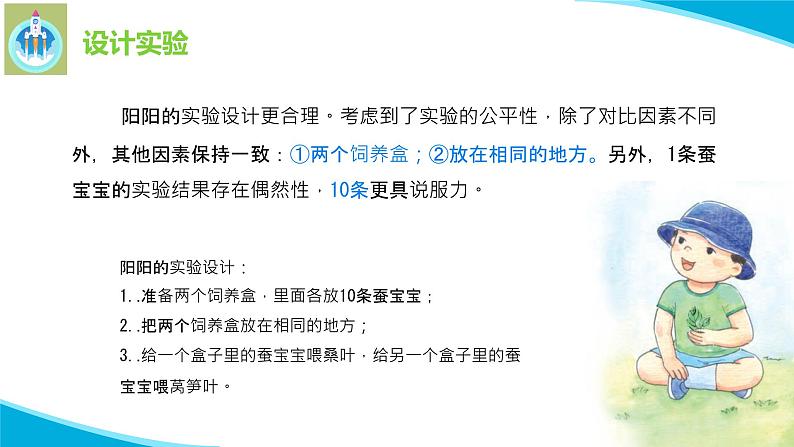 苏教版科学四年级下册11探究昆虫的秘密PPT课件06