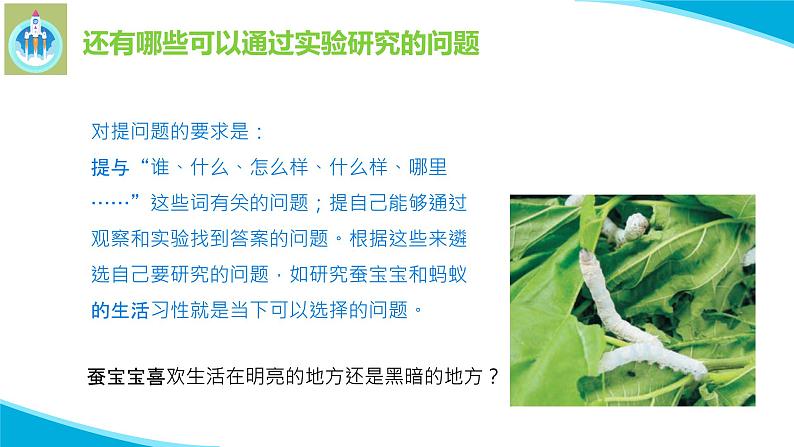 苏教版科学四年级下册11探究昆虫的秘密PPT课件07