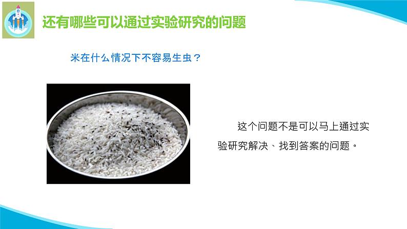 苏教版科学四年级下册11探究昆虫的秘密PPT课件08