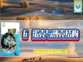 蘇教版科學(xué)五年級下冊6蛋殼與薄殼建筑PPT課件完美版