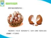 蘇教版科學(xué)五年級下冊6蛋殼與薄殼建筑PPT課件完美版