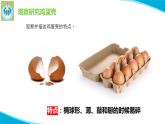 蘇教版科學(xué)五年級下冊6蛋殼與薄殼建筑PPT課件完美版