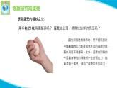 蘇教版科學(xué)五年級下冊6蛋殼與薄殼建筑PPT課件完美版