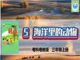 粤科粤教版科学三年级上册第5课海洋里的生物课件