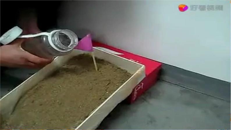 新青岛版科学五上：地表的变化 PPT课件第6页