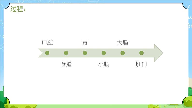 3《食物的消化》课件第6页