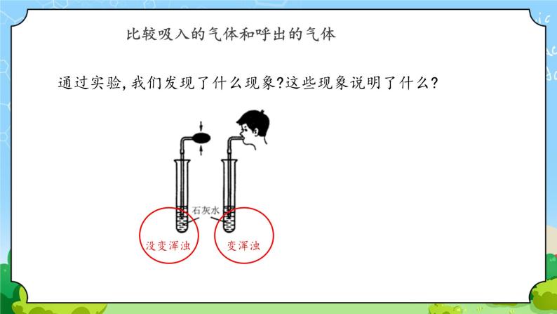 12《呼吸与空气》课件06