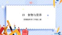 小学科学19 食物与营养试讲课课件ppt