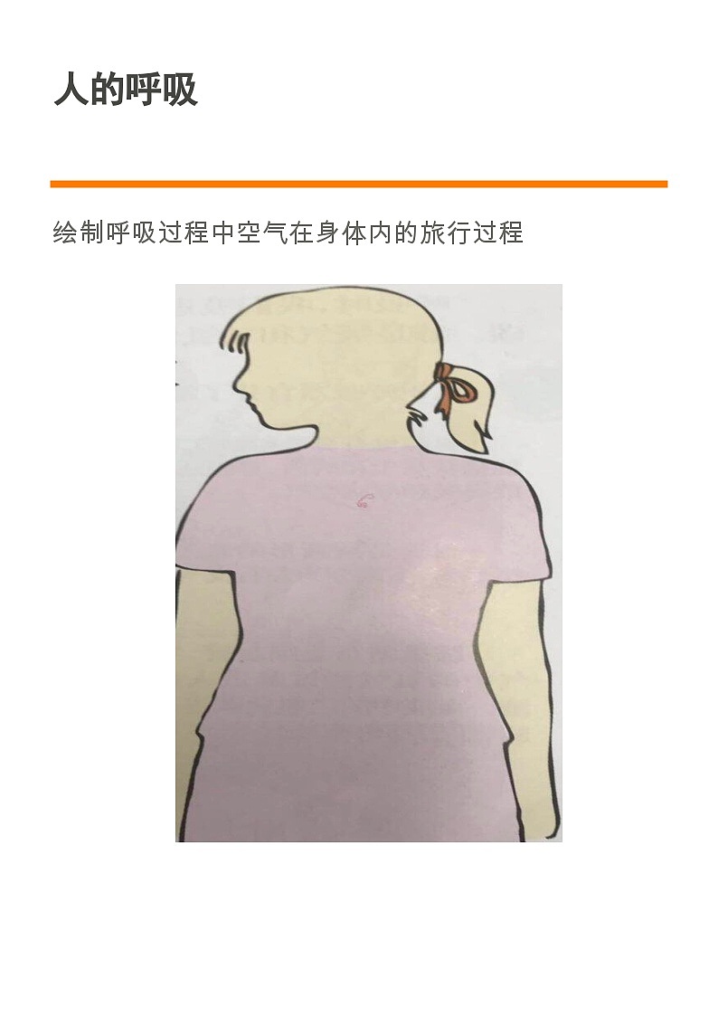 苏教版科学三年级上册 5.16人的呼吸 课件+教案+实验记录单+视频01