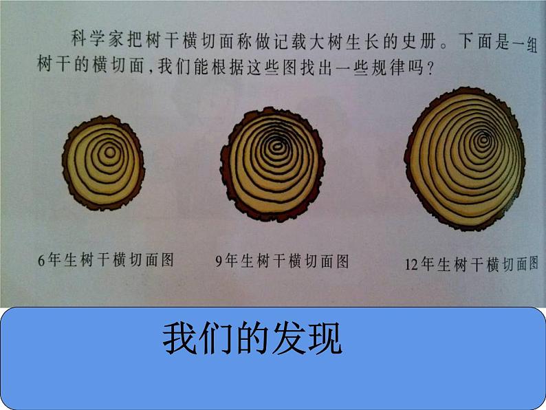 湘教版六年级科学下册5.2《科学自己做，我也能成功》课件03