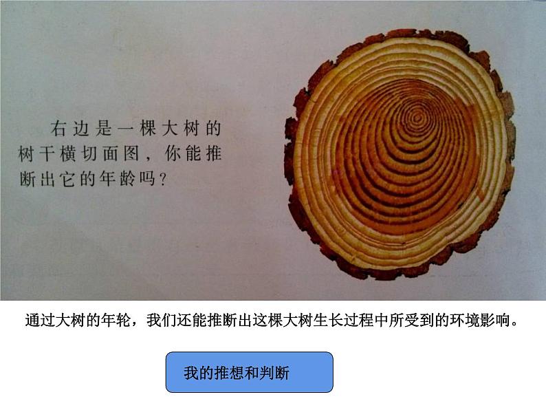 湘教版六年级科学下册5.2《科学自己做，我也能成功》课件04