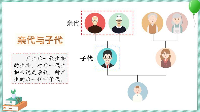 大象版科学六上 第四单元《遗传和变异》复习课件02