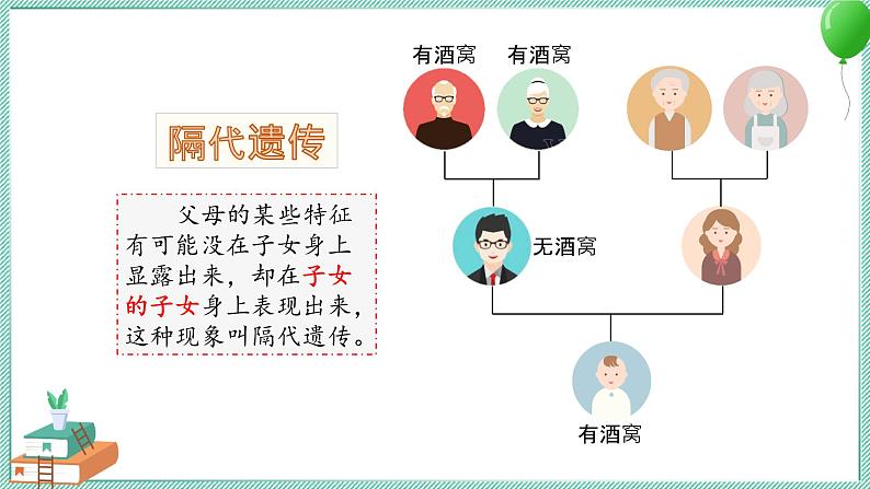 大象版科学六上 第四单元《遗传和变异》复习课件04