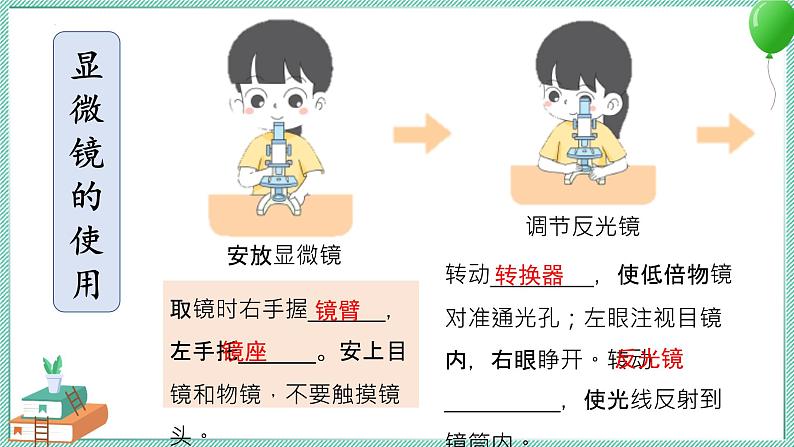 大象版科学六上 第一单元《显微镜下的世界》复习课件03