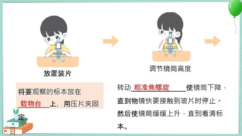 大象版科学六上 第一单元《显微镜下的世界》复习课件04