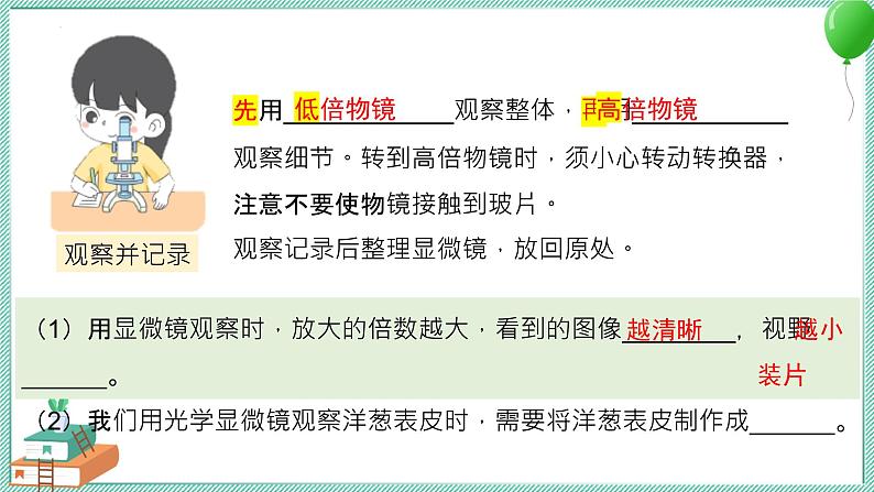 大象版科学六上 第一单元《显微镜下的世界》复习课件05