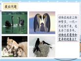 大象版科学六上 4.2《动物的遗传和变异》课件