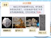 大象版科学六上 4.4《追根溯源》课件