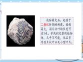 大象版科学六上 4.4《追根溯源》课件