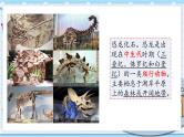 大象版科学六上 4.4《追根溯源》课件