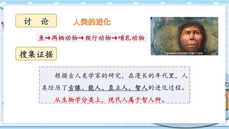 大象版科学六上 4.4《追根溯源》课件07