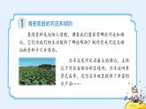 冀教版科学四年级下册4河流和湖泊PPT课件新版2022