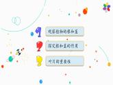 冀教版科學(xué)四年級(jí)下冊(cè)5植物的器官PPT課件新版2022