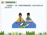 冀教版科學(xué)四年級(jí)下冊(cè)5植物的器官PPT課件新版2022