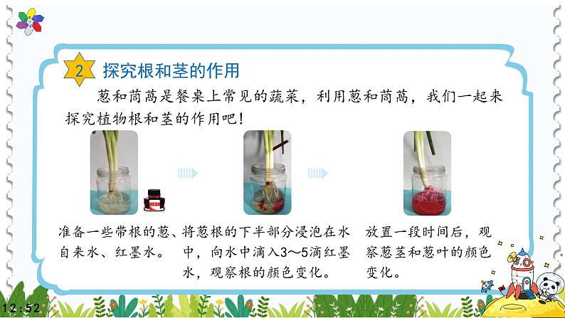 冀教版科学四年级下册5植物的器官PPT课件新版202207